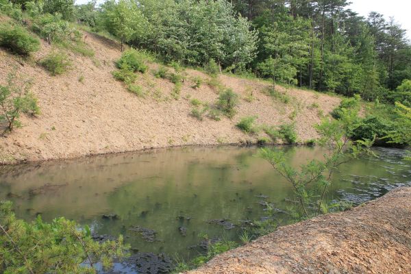 Cost of Pond Erosion Repair in Chesterfield