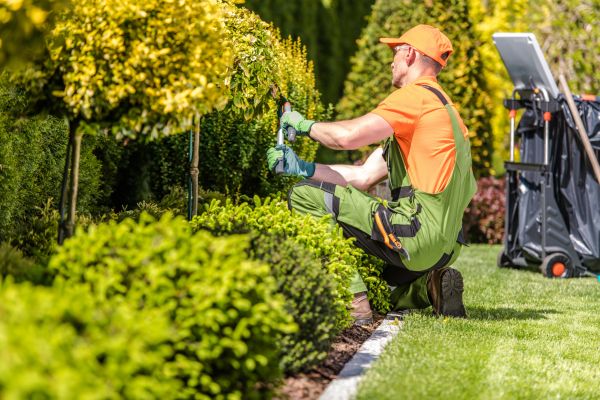 Landscaping Repair