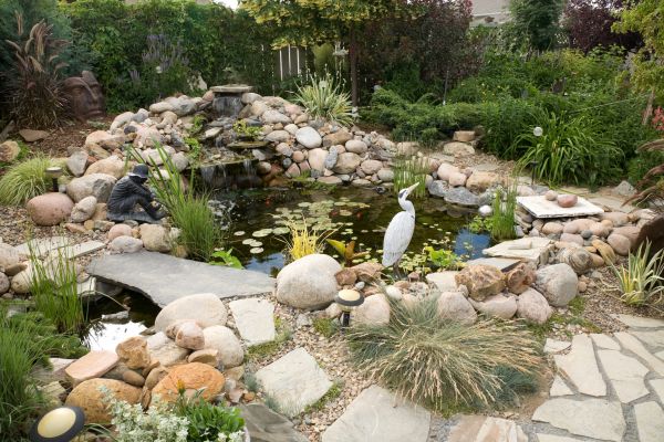 Pond Creation