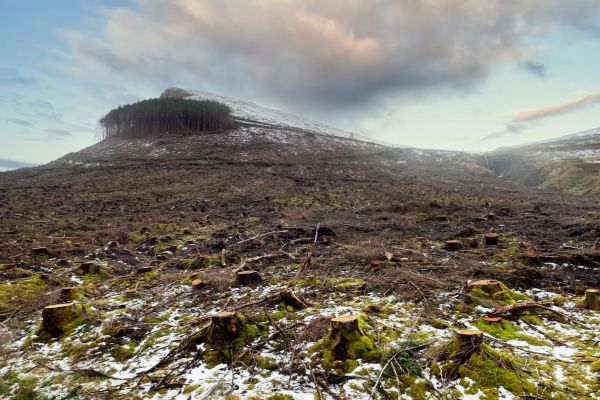 Cost of Hill Removal in Chesterfield